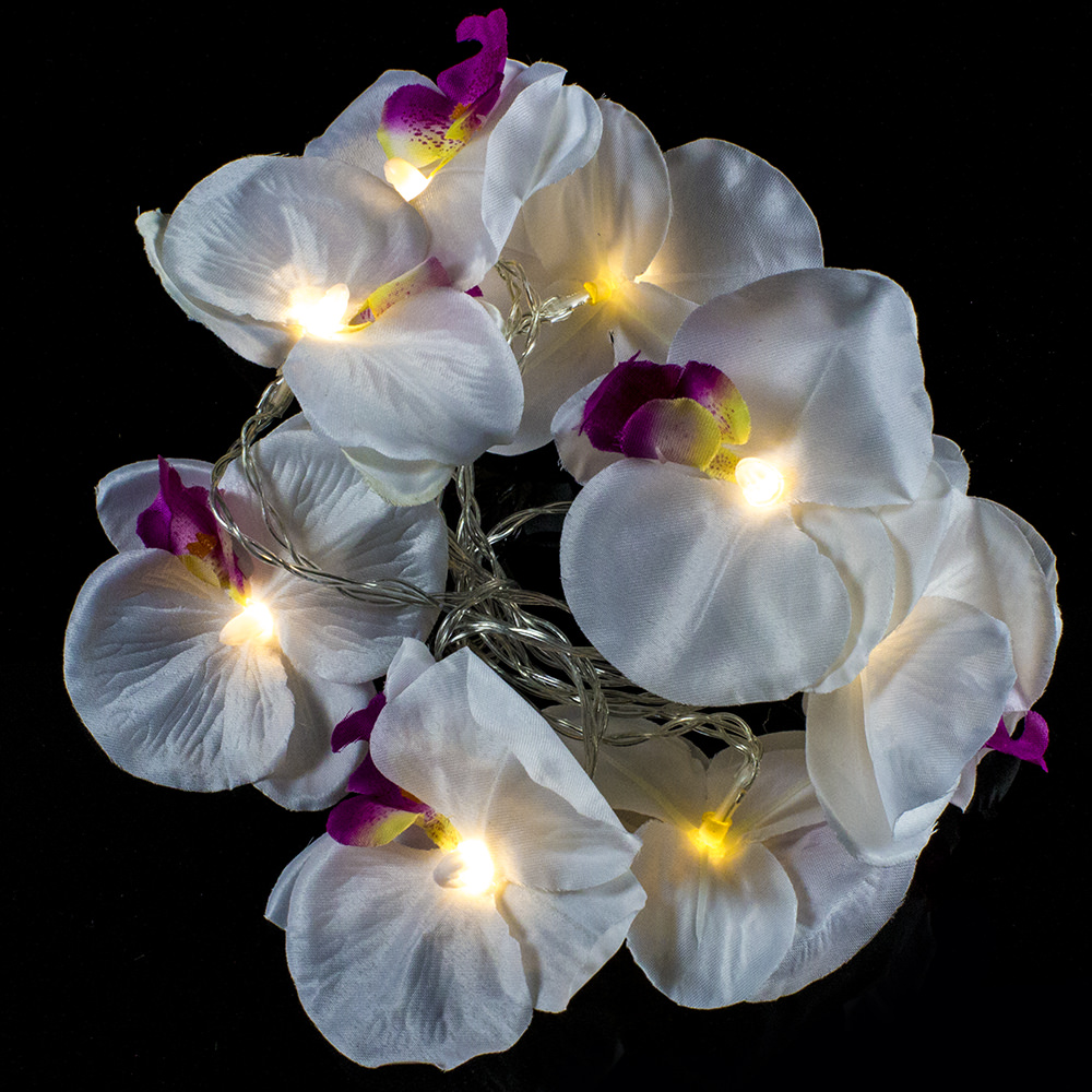 img-10 Orchid String Lights-0