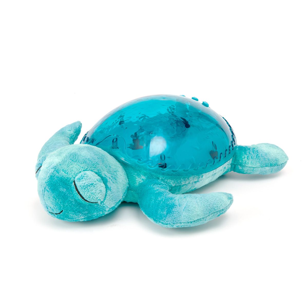 tranquil-turtle-aqua