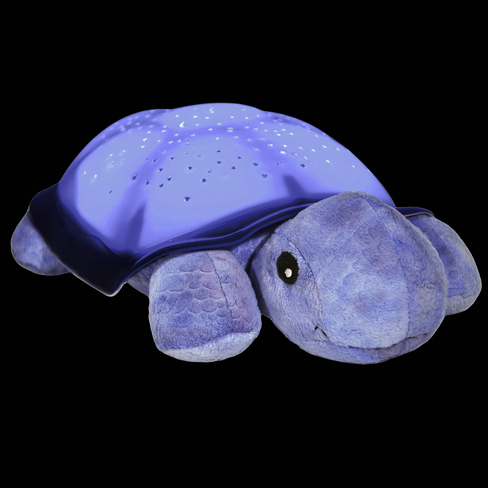 img-Twilight Turtle Purple-0