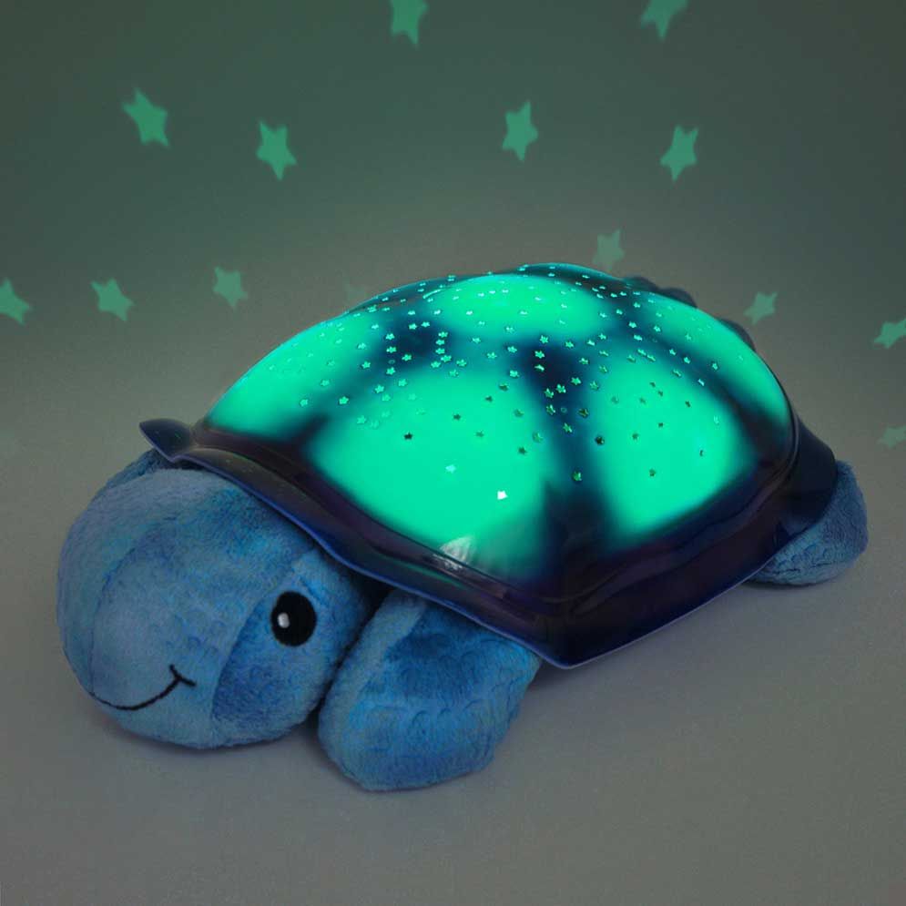 blue stuffed turtle